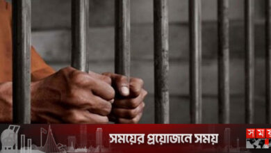 প্রধানমন্ত্রীর ছবি বিকৃতির ঘটনায় যুবকের কারাদণ্ড