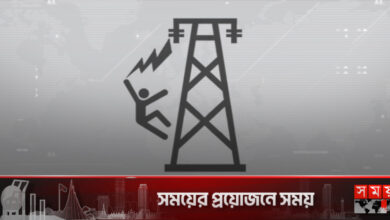 রাইস কুকারে ভাত রান্না করতে গিয়ে প্রাণ গেল পাখির