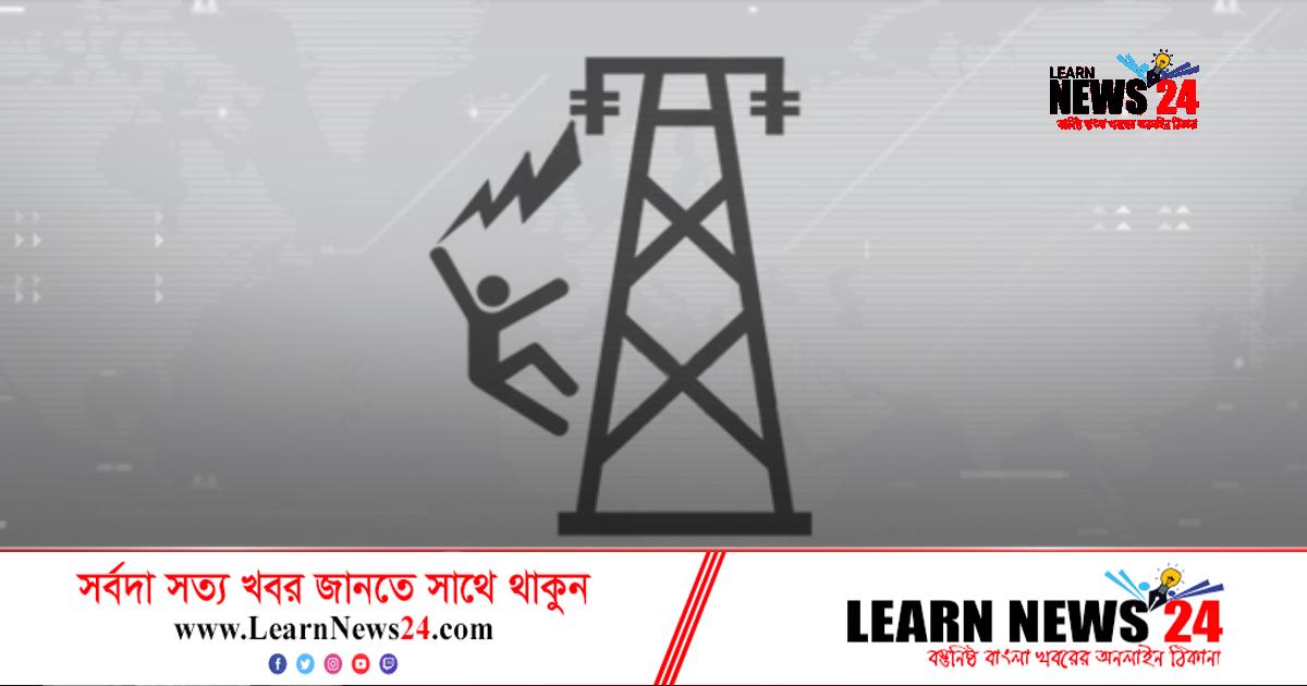 রাইস কুকারে ভাত রান্না করতে গিয়ে প্রাণ গেল পাখির রাইস কুকারে ভাত রান্না করতে গিয়ে প্রাণ গেল পাখির