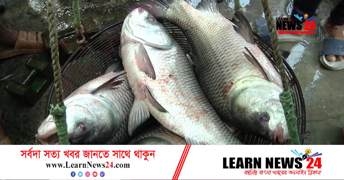 রাজশাহীতে কমেছে মাছের দাম রাজশাহীতে কমেছে মাছের দাম