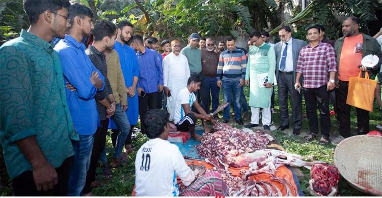 ফেনীতে গরু জবাই করে আর্জেন্টিনার সমর্থকদের ভূরিভোজের আয়োজন পৌর মেয়রের