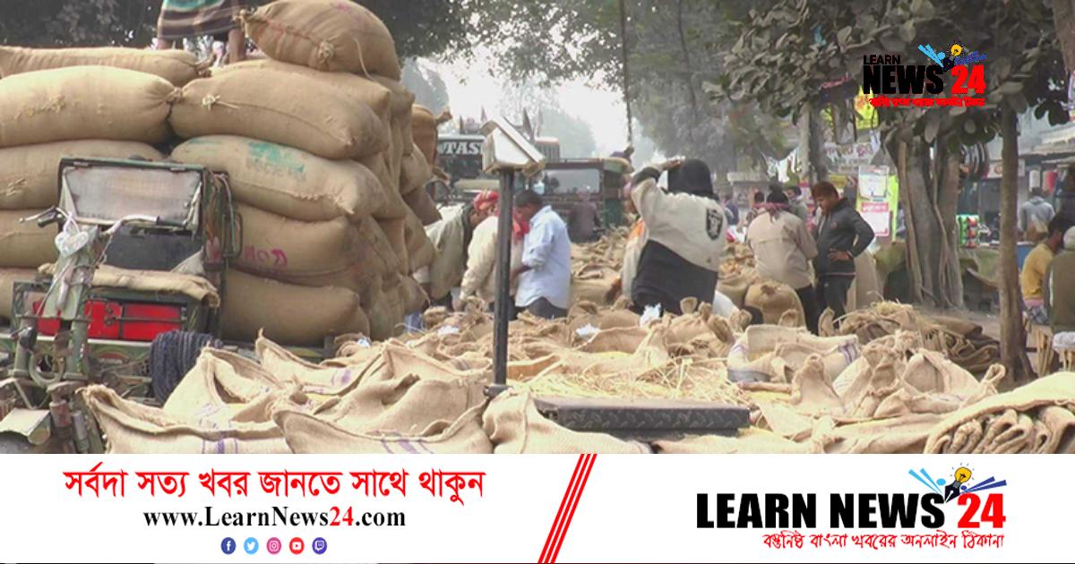 দিনাজপুরে মণপ্রতি ধানের দাম কমেছে ১৫০ টাকা