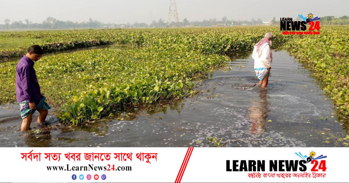 কৃষিজমি রক্ষায় প্রধানমন্ত্রীর হস্তক্ষেপ চান নরসিংদীর কৃষকরা