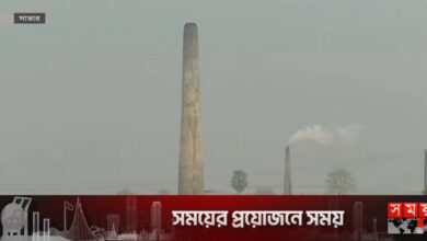 ধামরাইয়ে যত্রতত্র অনুমতিবিহীন ইটভাটা, বিপর্যয়ে পরিবেশ