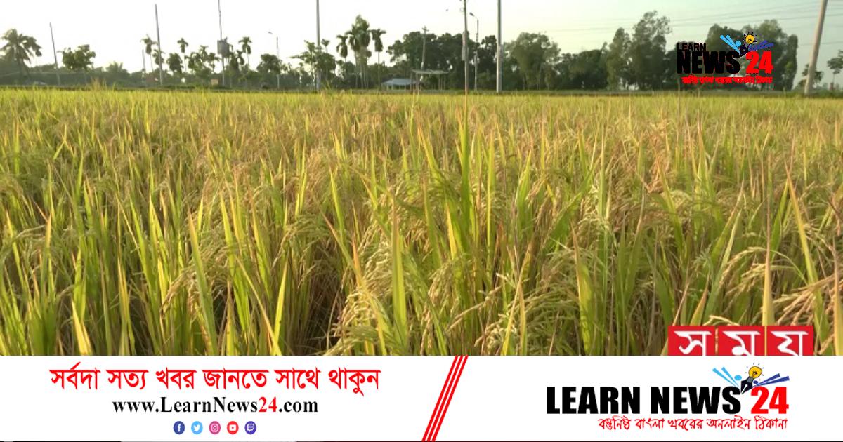 কৃষিতে উৎপাদন বাড়লে আমদানিতে খরচ কমবে
