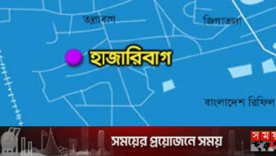 ফ্যানে ঝুলছিলেন মা, বিছানায় মরে পড়ে ছিল ছোট্ট দুই সন্তান