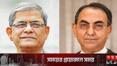 আবারও ফখরুল-আব্বাসের জামিন আবেদন, আদেশ বিকেলে