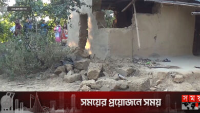 হাতির আক্রমণে অতিষ্ঠ নেত্রকোনার পাহাড়ি জনজীবন