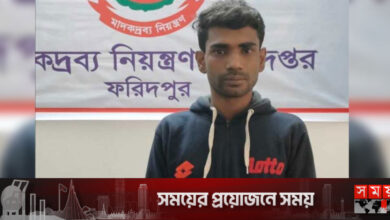 ফরিদপুরে ইয়াবাসহ যুবক গ্রেফতার