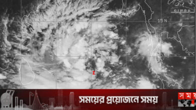 সাগরে ঘূর্ণিঝড় ‘মানদৌস’, ২ নম্বর সংকেত