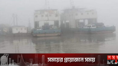 ঘন কুয়াশায় পাটুরিয়া-দৌলতদিয়া রুটে ফেরি চলাচল বন্ধ