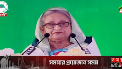 জাপানিজ অর্থনৈতিক অঞ্চল উদ্বোধন করলেন প্রধানমন্ত্রী