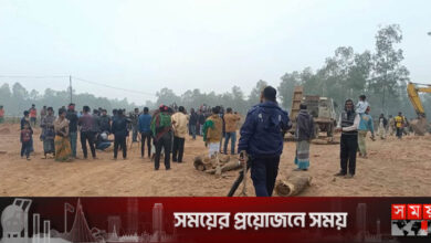 শেরপুরে ৬ ইটভাটাকে ১৮ লাখ টাকা জরিমানা