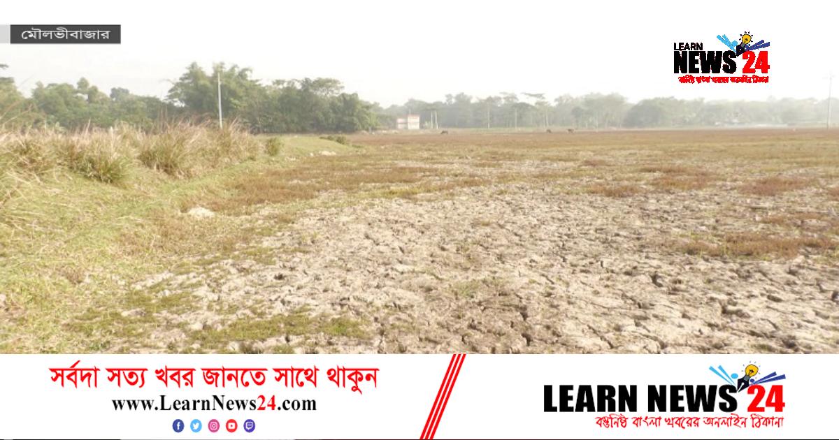 সেচ সংকটে মৌলভীবাজারের বোরোচাষিরা সেচ সংকটে মৌলভীবাজারের বোরোচাষিরা