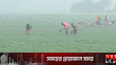 দিনাজপুরে তাপমাত্রা আরও কমেছে