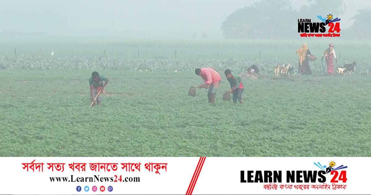 দিনাজপুরে তাপমাত্রা আরও কমেছে