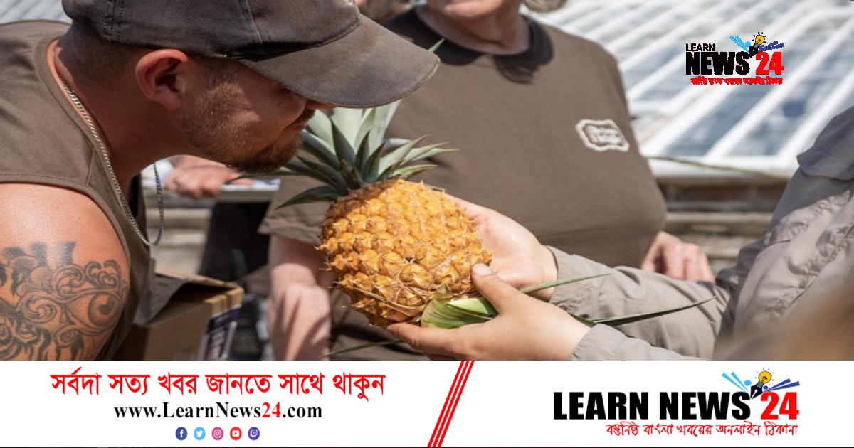 যে আনারসের দাম ১ লাখ ২৫ হাজার টাকা যে আনারসের দাম ১ লাখ ২৫ হাজার টাকা