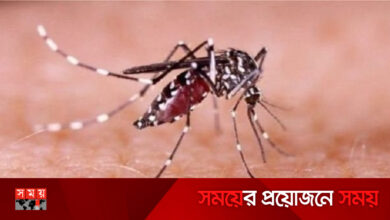 ডেঙ্গুতে মৃত্যুহীন দিনে আক্রান্ত ১২০