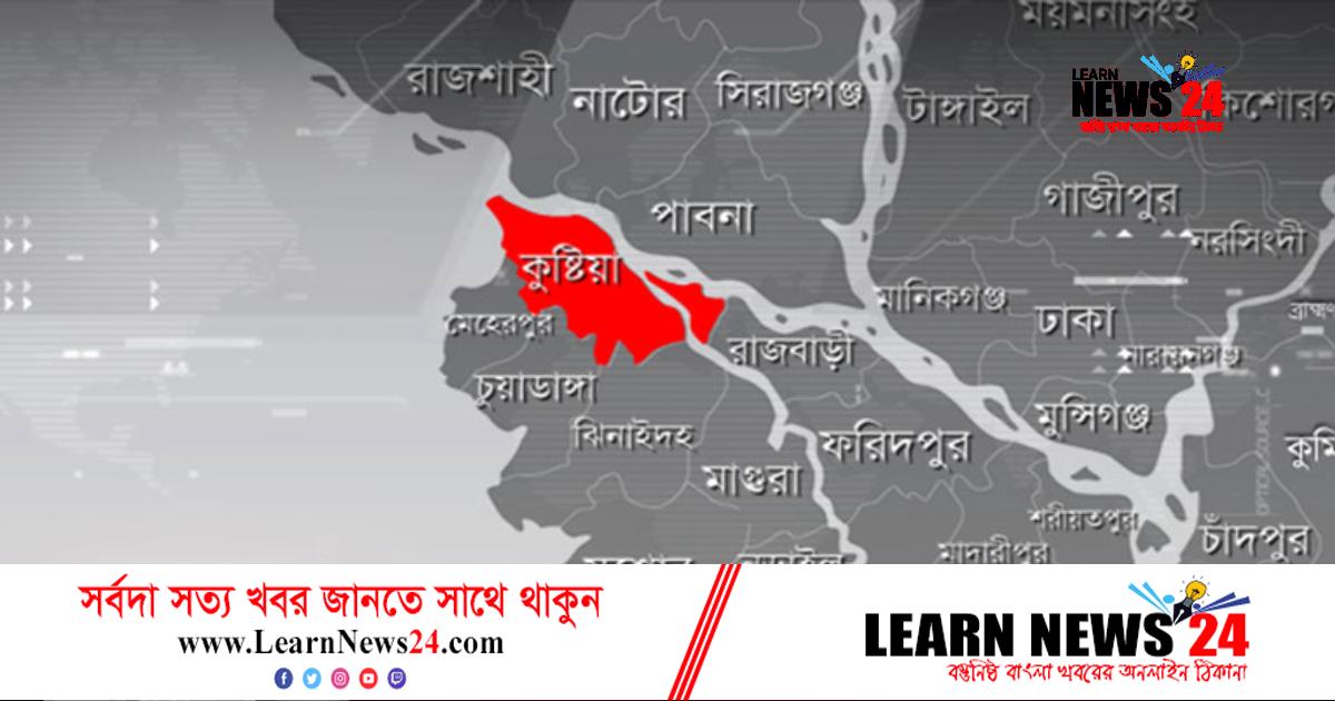 কুষ্টিয়ায় ঘনকুয়াশায় ট্রাকচাপায় নিহত ১, আহত ২