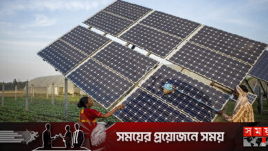নবায়নযোগ্য জ্বালানিতে বড় বিনিয়োগের পথে ভারত