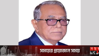 গণতন্ত্রকে প্রাতিষ্ঠানিক রূপ দিতে হবে: রাষ্ট্রপতি