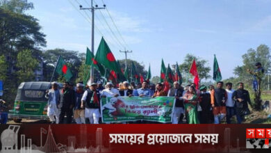 রায়পুরা হানাদারমুক্ত দিবসে বর্ণাঢ্য শোভাযাত্রা