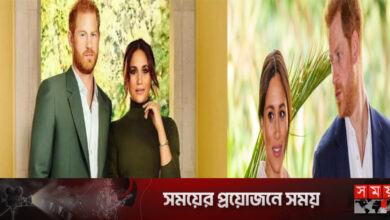 জনপ্রিয়তার শীর্ষে ‘হ্যারি অ্যান্ড মেগান’ ওয়েব সিরিজ
