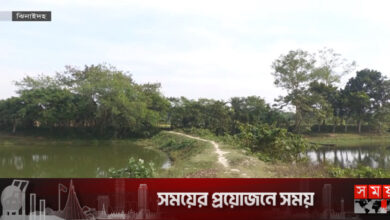 নবগঙ্গায় বাঁধ দিয়ে অবৈধভাবে মাছ চাষ