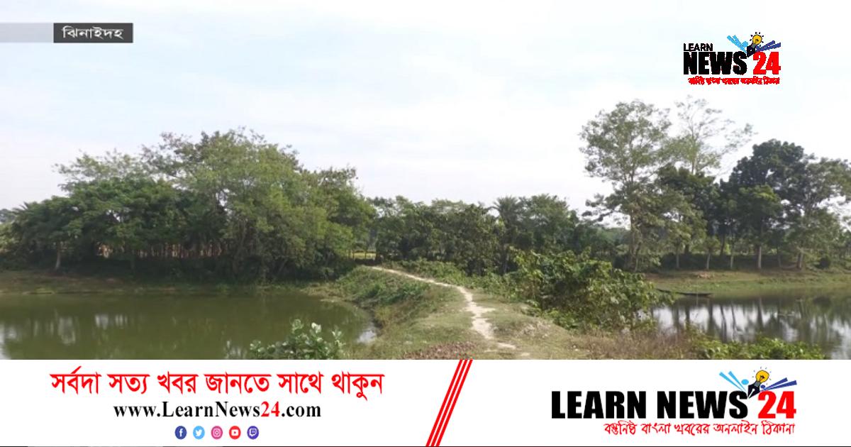 নবগঙ্গায় বাঁধ দিয়ে অবৈধভাবে মাছ চাষ নবগঙ্গায় বাঁধ দিয়ে অবৈধভাবে মাছ চাষ