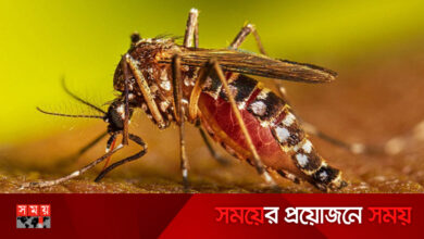 নতুন ১৮৪ ডেঙ্গুরোগী হাসপাতালে