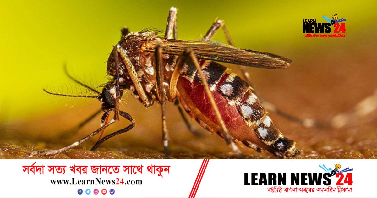 নতুন ১৮৪ ডেঙ্গুরোগী হাসপাতালে