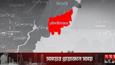 কমলগঞ্জে নবজাতকের মরদেহ উদ্ধার