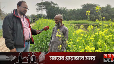 সরিষা চাষে সফলতা দেখছেন বাগেরহাটের চাষিরা