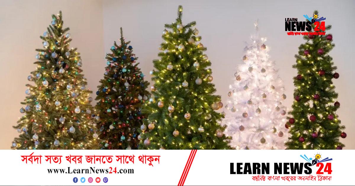 যুক্তরাষ্ট্রে ১৫ শতাংশ বেশি দামে বিক্রি হচ্ছে ক্রিসমাস ট্রি