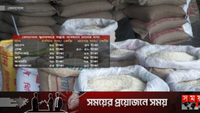 আমদানি বাড়ায় পাইকারি বাজারে কমেছে চালের দাম