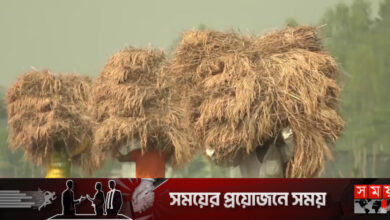 বাড়বে উৎপাদন, কমবে আমদানি খরচ