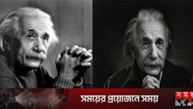 সফল হতে যা করেছিলেন আইনস্টাইন