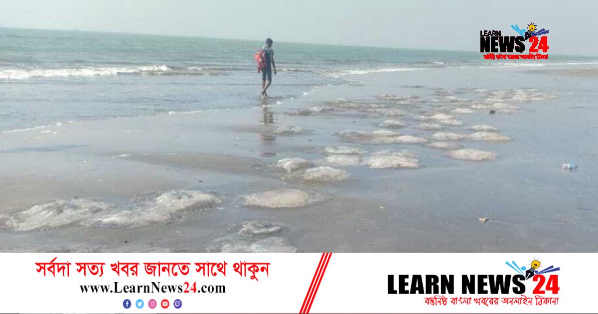 এবার টানা জালে আটকা পড়েছে শত শত জেলিফিশ এবার টানা জালে আটকা পড়েছে শত শত জেলিফিশ