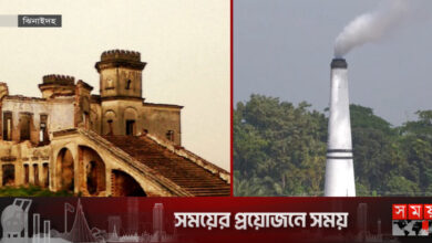 নলডাঙ্গা রাজবাড়ি দখল করে ইটভাটা!