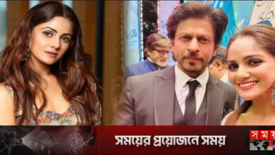 শাহরুখের স্পর্শের পর বলিউডে ডাক পেলেন তৃণা!