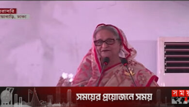 অহংকারের নতুন পালক জনগণের মাথায় সংযোজন করলাম: প্রধানমন্ত্রী