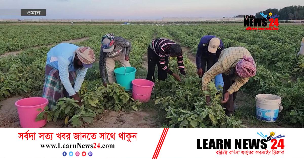 ওমানের কৃষি এখন বাংলাদেশি উদ্যোক্তাদের দখলে