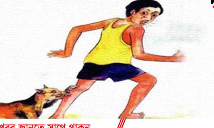 দাগনভূঁইয়ায় কুকুরের কামড়ে আহত ১৮, এলাকাজুড়ে আতঙ্ক দাগনভূঁইয়ায় কুকুরের কামড়ে আহত ১৮, এলাকাজুড়ে আতঙ্ক
