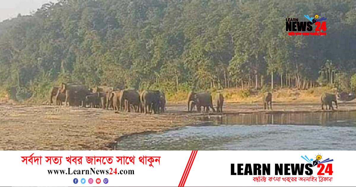 নেত্রকোনায় হাতির আক্রমণে আহত কৃষকের মৃত্যু