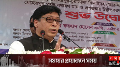 বিএনপি আমলে আমরা অন্ধকার যুগে ছিলাম: জনপ্রশাসন প্রতিমন্ত্রী