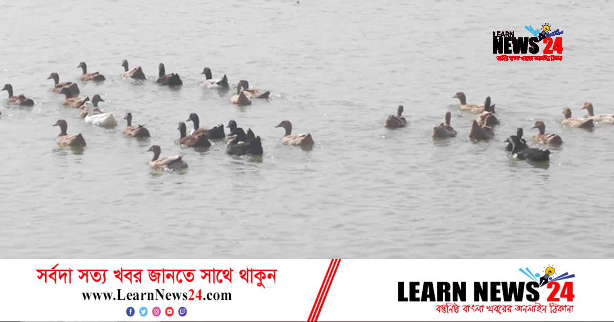 বিশুদ্ধ পানিতে লবণাক্ততা, বিপর্যয়ে কৃষি-প্রাণবৈচিত্র্য বিশুদ্ধ পানিতে লবণাক্ততা, বিপর্যয়ে কৃষি-প্রাণবৈচিত্র্য