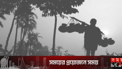 শীতের প্রকোপ কয়েক দিনের মধ্যেই