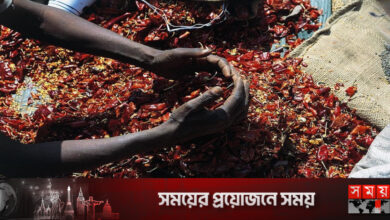 চোখে মরিচের গুঁড়ো ছুড়ে ২ কুখ্যাত বন্দির পলায়ন