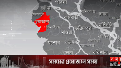 চুয়াডাঙ্গায় ৪টি বিদেশি এয়ারগান উদ্ধার