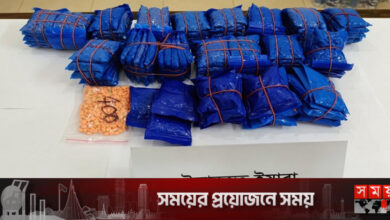 রাজধানীতে ২০ হাজার পিস ইয়াবাসহ গ্রেফতার ৪